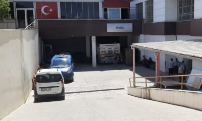 8 Yaşındaki çocuk ağaç altında ölü bulundu