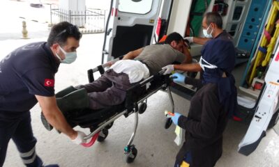 Acemi kasaplar kendilerini kestiler