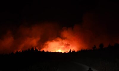Adana Aladağ’da orman yangını
