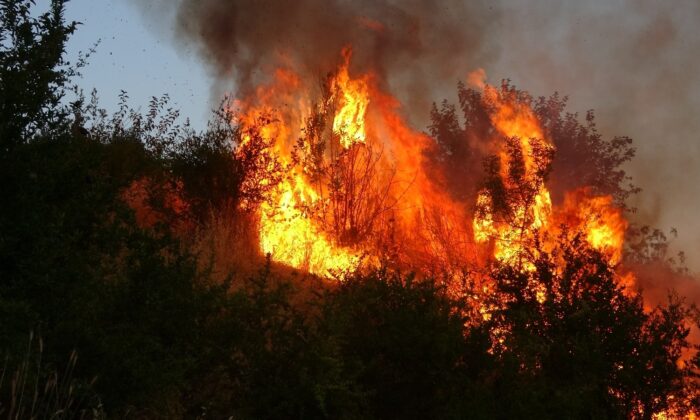 Adıyaman’da korkutan bahçe yangını