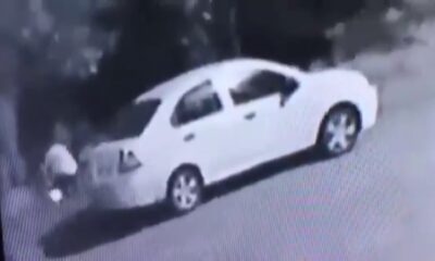 Ağacı ateşe vermeye çalıştıkları o an kamerada