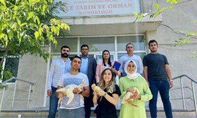 Ağrı’da kaz desteği ile kadınlara iş imkanı