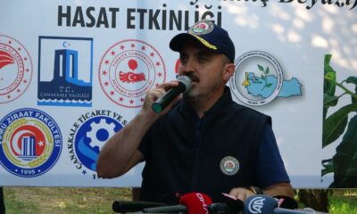 AK Parti’li Turan, Bayramiç Beyazı hasat etkinliğine katıldı