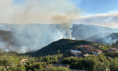 Akseki’deki orman yangını devam ediyor