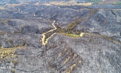 Aladağ’da yanan ormanlık alanlar drone ile görüntülendi