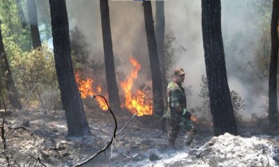 Alevlere ‘Gardaş’ müdahalesi