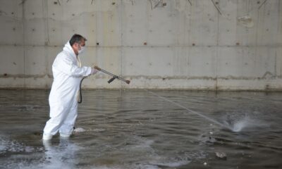 Altıeylül’de ilaçlama seferberliği hızlandı