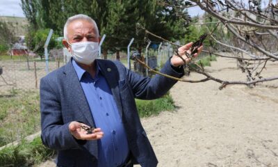 Anız yakanlar dikkat, para cezası uygulanıyor