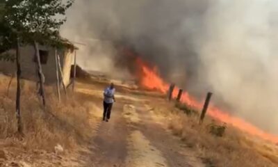 Anız yangını korkuttu