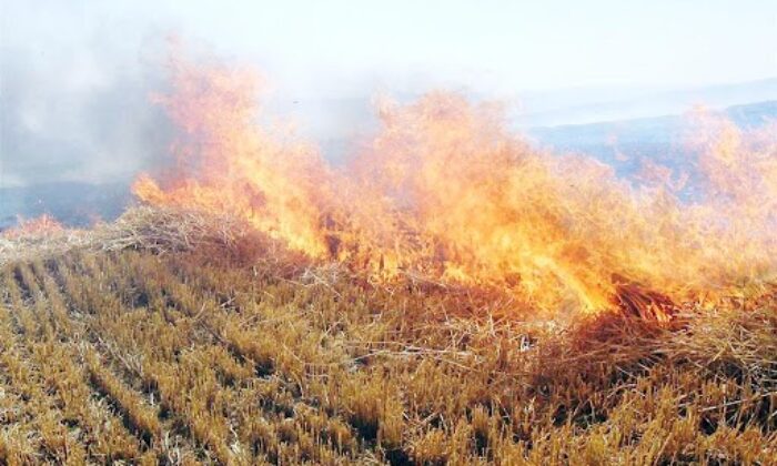 Anız yangınlarına dikkat