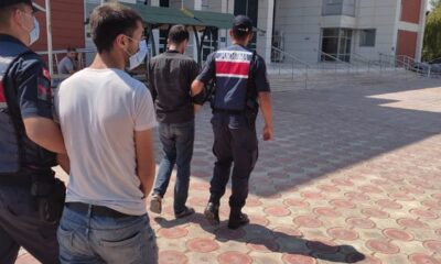 Antep fıstığı hırsızları tutuklandı