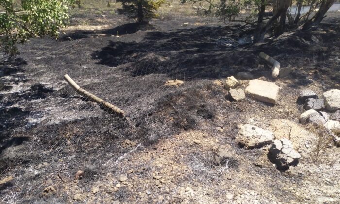 AOÇ’de çıkan yangında bir gözaltı