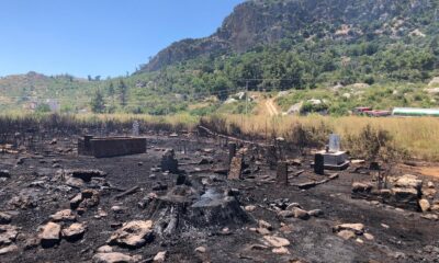 Araçta çıkan yangın makilik alanı ve mezarlıkları küle çevirdi