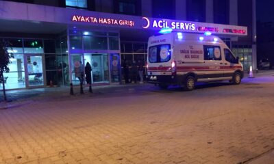 Arının soktuğu şahıs hayatını kaybetti