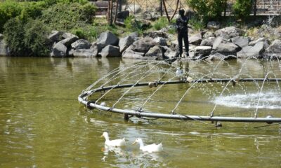 Aşırı sıcaklar Balıkesir’i bunalttı