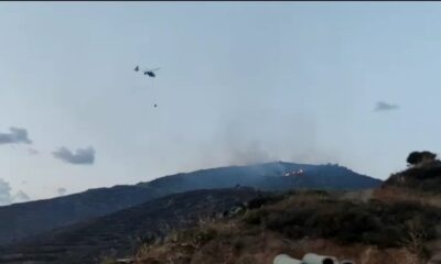 Avşa Adası’nda makilik alanda çıkan yangın söndürüldü