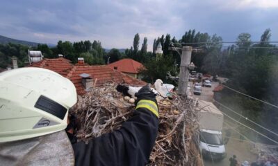 Ayağına ip dolanan Leylek İtfaiye tarafından kurtarıldı