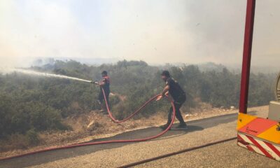 Aydın Büyükşehir Belediyesi gün boyu yangınlarla mücadele etti