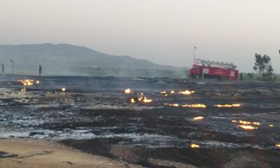 Aydın’da biyogaz tesislerinde yangın
