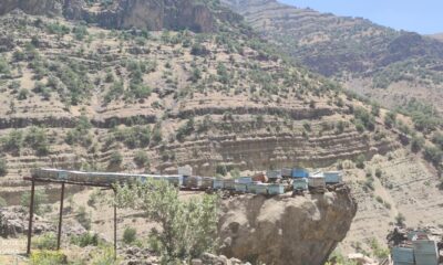 Ayılar arılarını telef edince çözümü kovanları çıkılması imkansız kayaların üzerine yerleştirmekte buldular