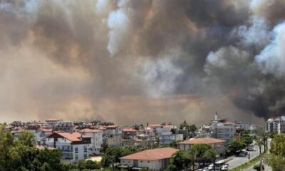 Bağcılar’dan Manavgat’a 20 bin adet fidan bağışı