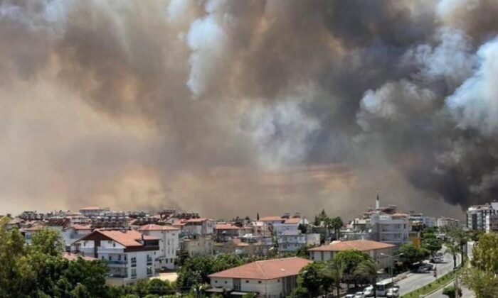 Bağcılar’dan Manavgat’a 20 bin adet fidan bağışı