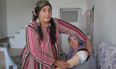 Bahçede domates toplayan anne ve kızına köpek saldırdı