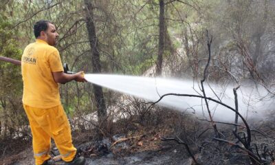 Bakan Pakdemirli: “Osmaniye’deki yangın kontrol altına alındı”