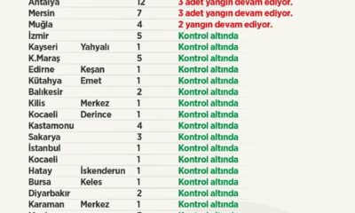 Bakan Pakdemirli: “Toplam 85 orman yangınından 74 tanesi kontrol altına alındı”