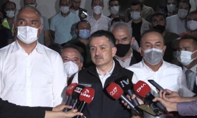 Bakan Pakdemirli: “Yangın maalesef kontrol altına alınmış değil”