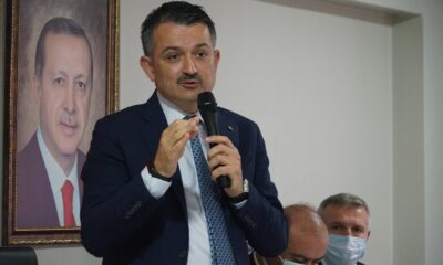 Bakan Pakdemirli’den Meral Akşener’e ‘akıllı yangın’ tepkisi