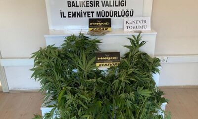 Balıkesir’de polis bayramda suçlulara göz açtırmadı; “120 gözaltı 19 tutuklama”