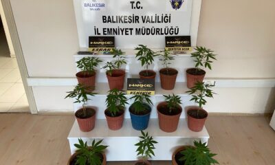 Balıkesir’deki uyuşturucu operasyonlarında 10 gözaltına