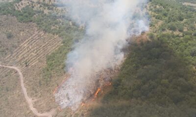 Balya Müstecap’da çıkan orman yangını söndürüldü