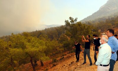Başkan Gültak, yangın bölgelerinde incelemelerde bulundu