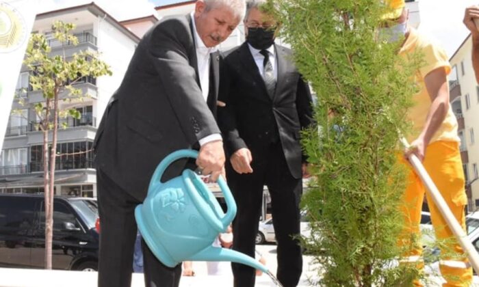 Başkan Sarı açıkladı: Yanan ormanlara 10 bin fidan desteği