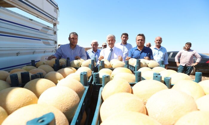 Başkan Tahmazoğlu, çiftçilerle ekti çiftçilerle topladı