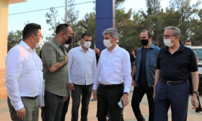 Başkan Yılmaz, yangın bölgelerinde inceleme yaptı