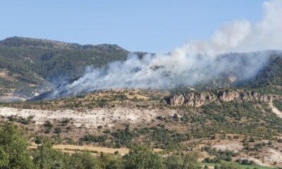 Başkent’te ormanlık alanda yangın