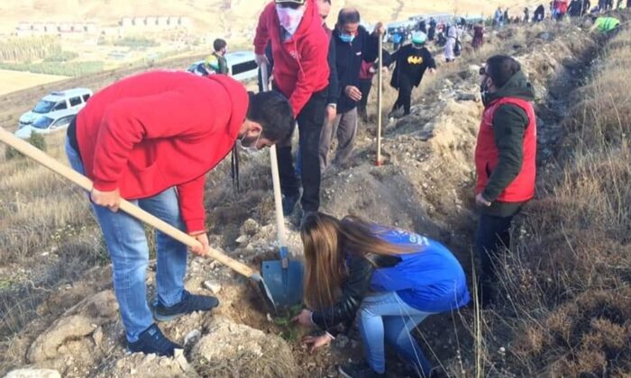 Bayburt Gençlik Merkezi 3 bin fidan dikecek
