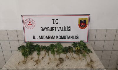Bayburt’ta bir miktar kenevir ve tabanca ele geçirildi
