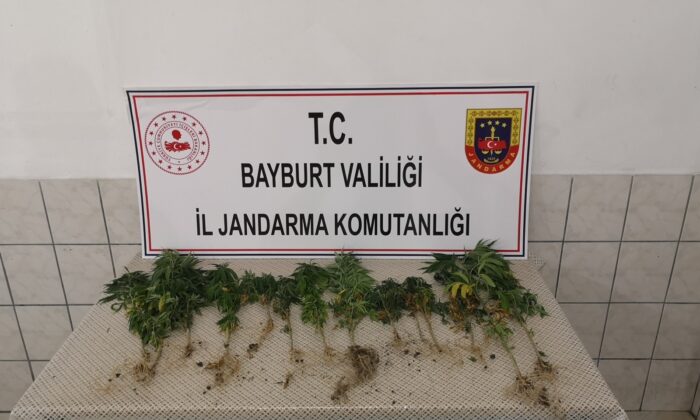 Bayburt’ta bir miktar kenevir ve tabanca ele geçirildi