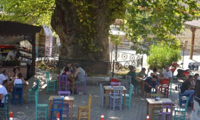 Bayır Mahallesi’nin simgesi çınar ağacı asırlara meydan okuyor