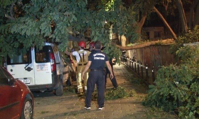 Beşiktaş’ta hafif ticari aracın üstüne ağaç devrildi