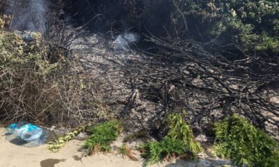 Beşiktaş’ta korkutan yangın