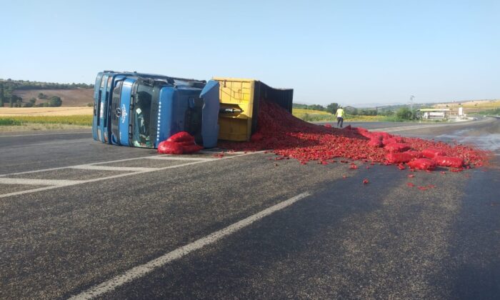 Biber yüklü tır devrildi