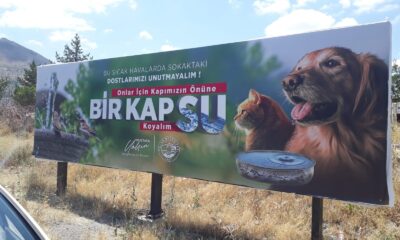 Bilboradlardan sokak hayvanları için su çağrısı