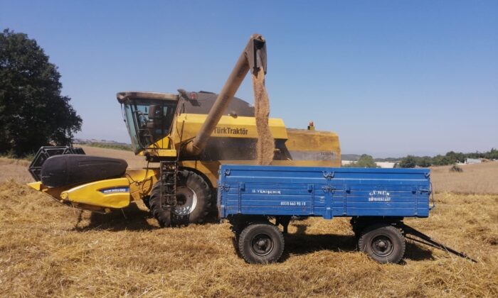 Bilecik’te buğday hasadı başladı