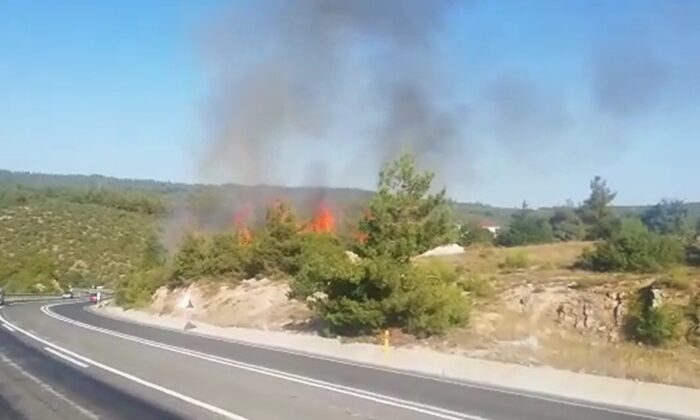 Bilecik’te ormanlık alanda yangın: 1 kişi gözaltına alındı