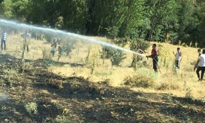 Bingöl’de korkutan yangın: Alevler tarlalara ulaşmadan söndürüldü